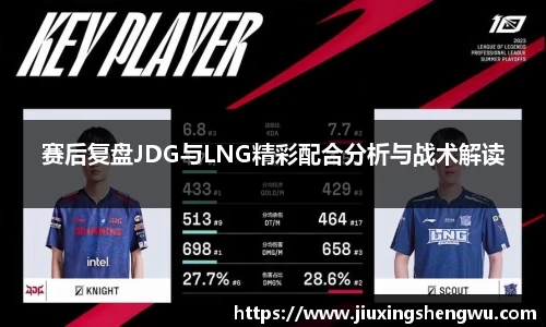 赛后复盘JDG与LNG精彩配合分析与战术解读